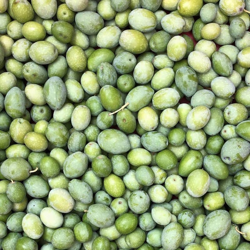 Immagine di Azienda Agricola La Valle di Salvatore Rota a San Mauro Marchesato, Calabria