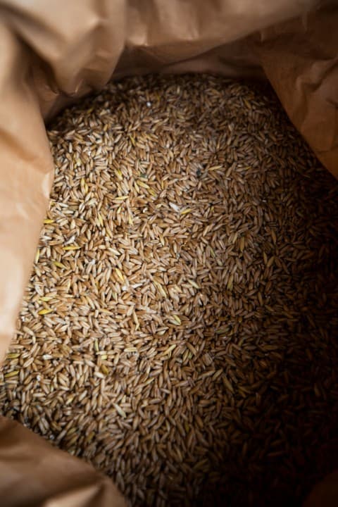 Farro