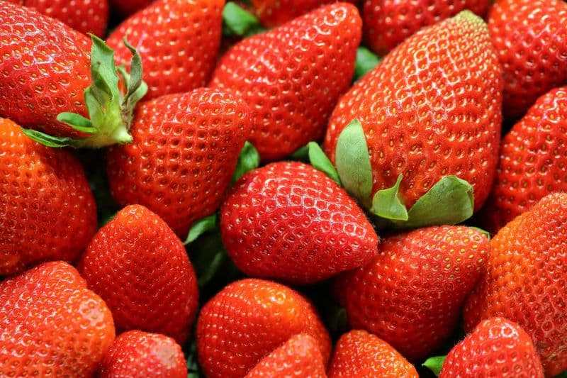 Fragole