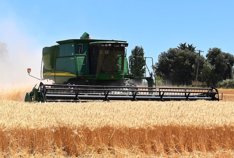 Immagine di Azienda Agricola Pina Angelo Fabio e Marco a Pavia, Lombardia