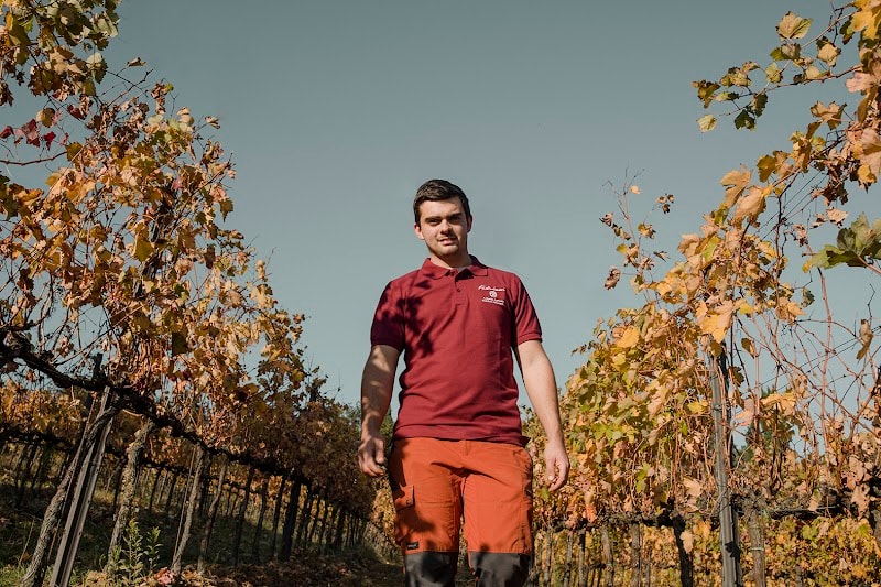 Immagine di Azienda Agricola Fedrizzi Alessandro a Castello di Serravalle, Emilia-Romagna