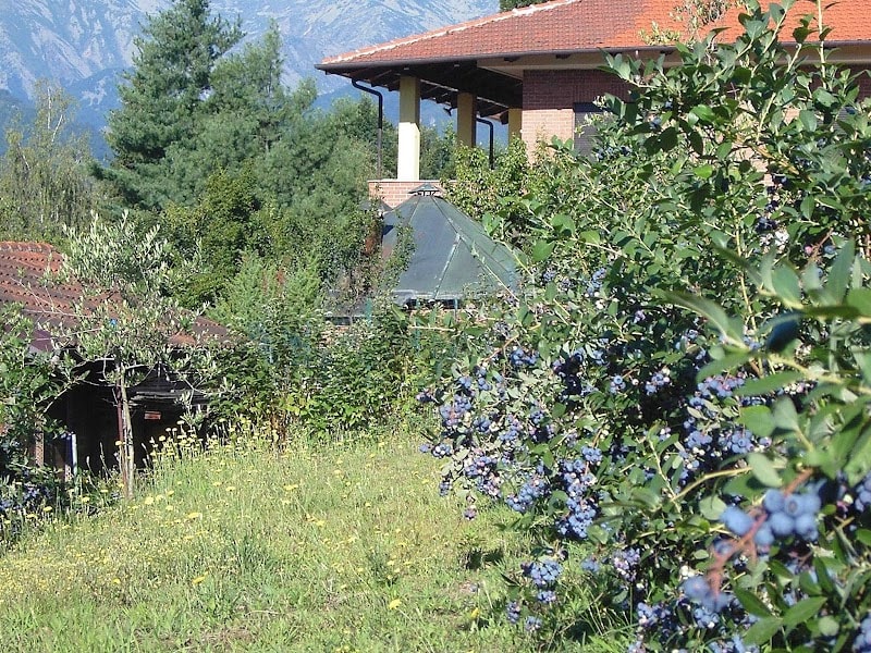 Immagine di Azienda Agricola Il Ginepro a Torino, Piemonte