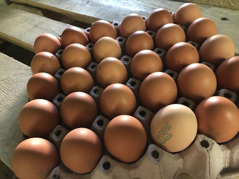 Immagine di Baschieri Uova (soc. agricola) a Modena, Emilia-Romagna