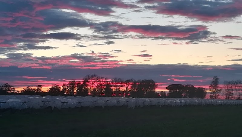 Immagine di Montella Bio Azienda Agricola Biologica a Frignano, Campania