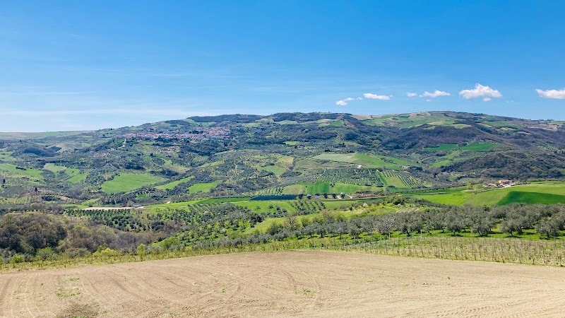 Immagine di Agribio Pantasia - azienda agricola biologica a Castellino del Biferno, Molise