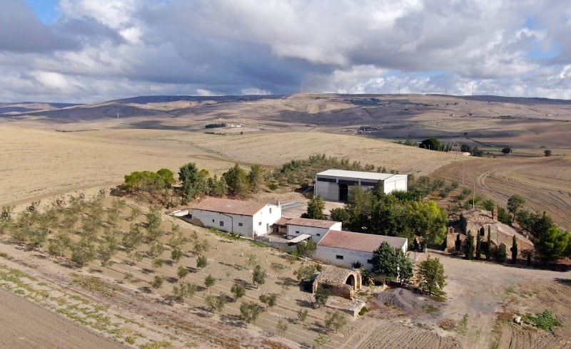 Immagine di Azienda Agricola Marvulli Domenico a Irsina, Basilicata