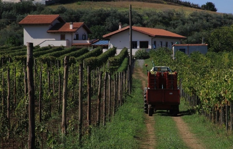 Immagine di Azienda Biologica De Sanctis a Roma, Lazio