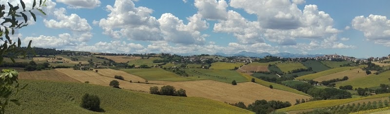 Immagine di L'orto di Nisetta Azienda Agricola Biologica a Monterubbiano, Marche