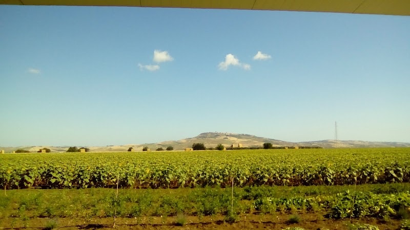 Immagine di Azienda Agricola "TrasFormazioni" a Larino, Molise