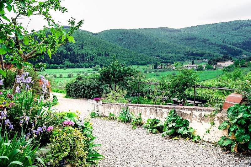 Immagine di Bioagriturismo Podere Montisi a Calenzano, Toscana