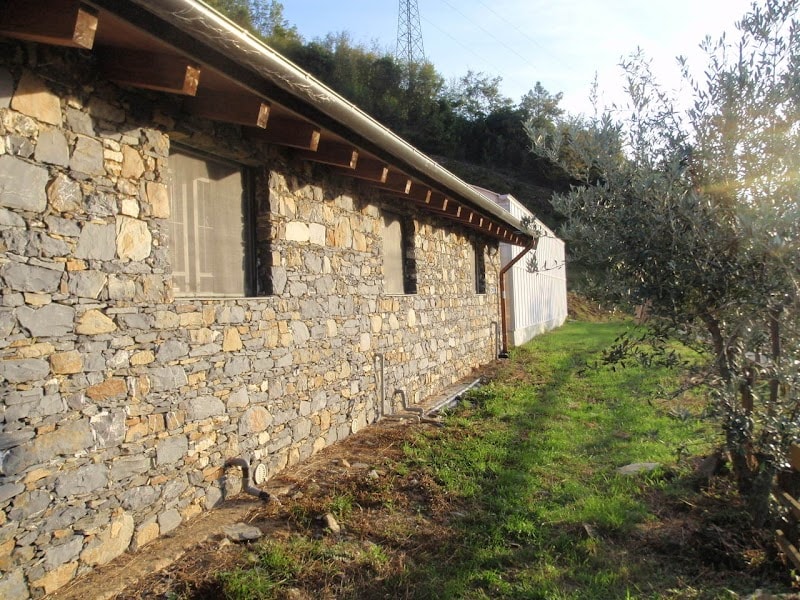 Immagine di Azienda agricola Virtus Mushroom a Genova, Liguria