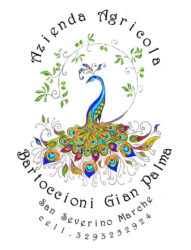Immagine di Azienda Agricola Bartoccioni Gian Palma a San Severino Marche, Marche