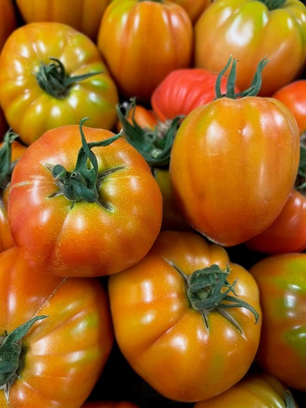 Azienda agricola La Libellula s.s.