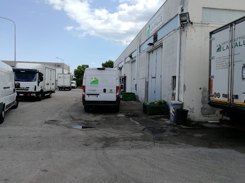 Ortofrutticola La Valle Di Moretti Marco & C. Sas