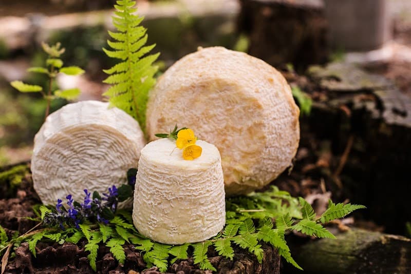 Az. Agr. Dolce Fiorita