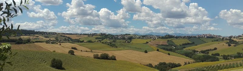 L'orto di Nisetta Azienda Agricola Biologica