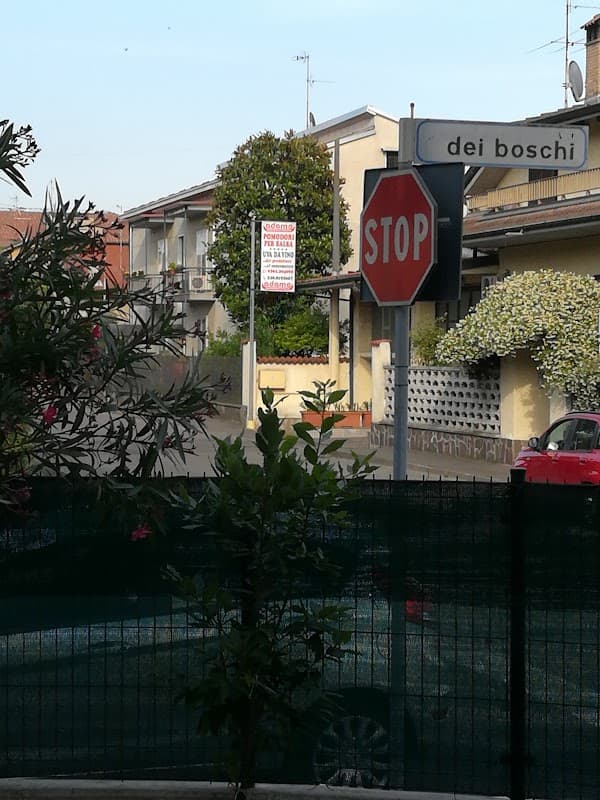 Adamo Ortofrutticola - frutta e verdura - pomodori da salsa - uva da vino - confezioni natalizie