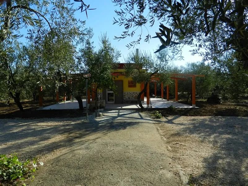 Immagine di Azienda agricola Mazzone a Ruvo di Puglia, Puglia