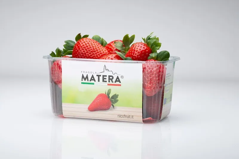 O.P. Frutthera Growers - NICOFRUIT ®