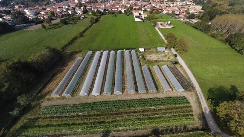 Immagine di Azienda Agricola Biologica L'orto di Carmen a Borgofranco d'Ivrea, Piemonte