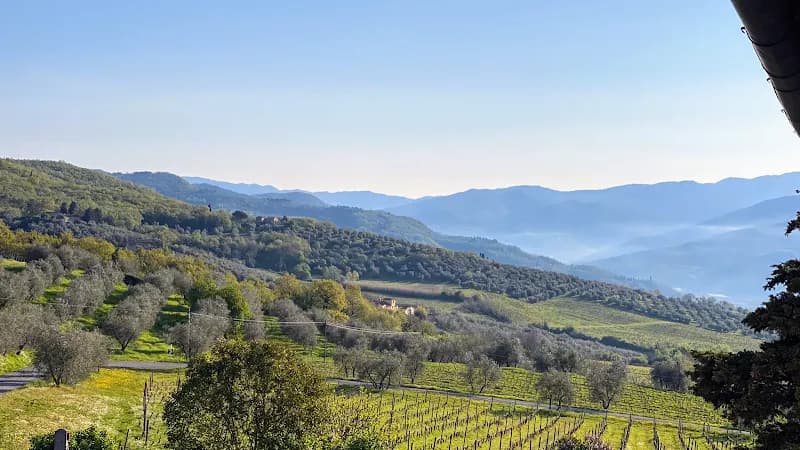 Immagine di Fattoria Lavacchio BIO Winery a Pontassieve, Toscana