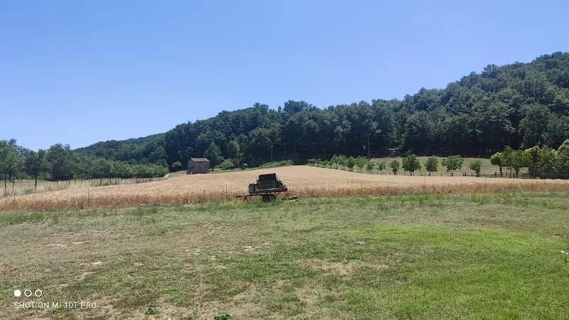 Immagine di Agrifattoria Didattica Erìmarì a Stazione di Bassano In Teverina, Lazio