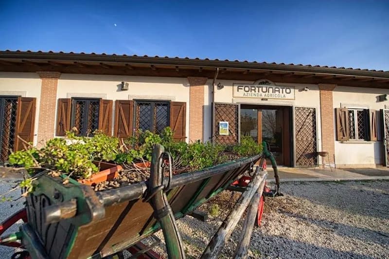 Immagine di Azienda Agricola Fortunato a Roma, Lazio