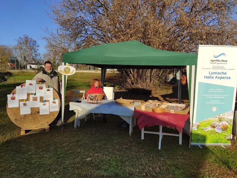 Immagine di Agrobio Dese | Vendita diretta di lumache allevate all’aperto a Preganziol, Veneto