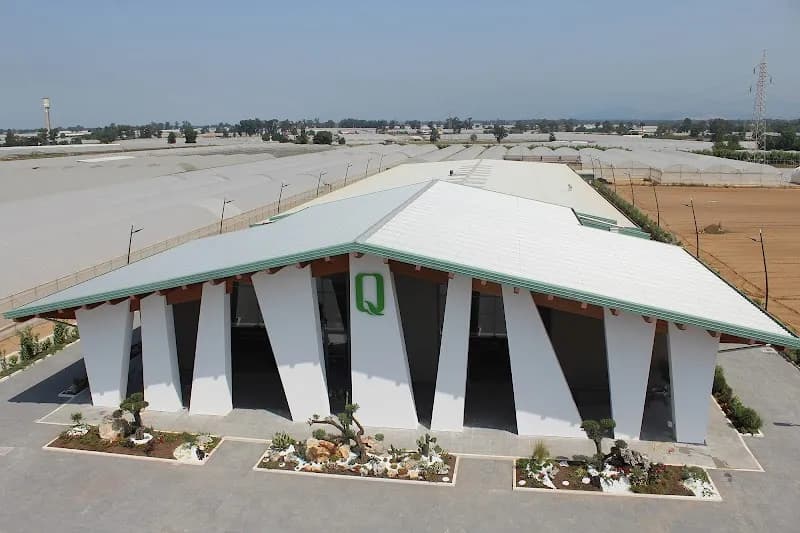 Immagine di Olio Quattrociocchi - Americo Quattrociocchi a Terracina, Lazio