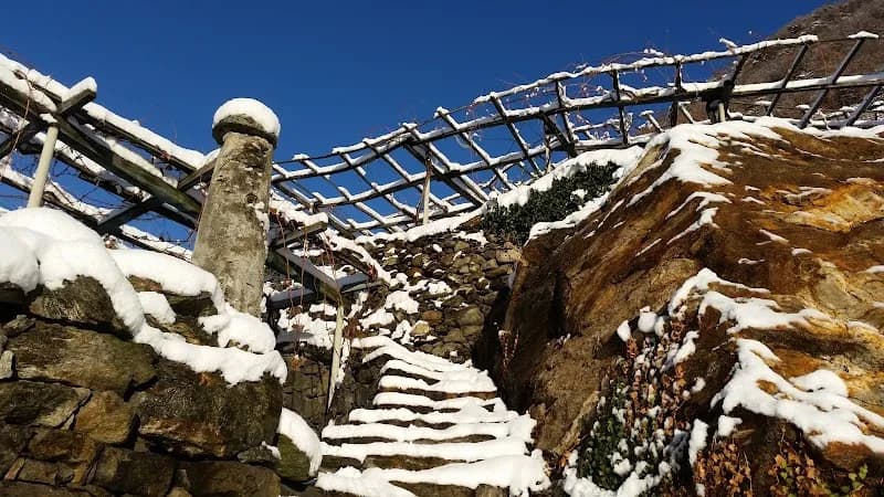 Immagine di Azienda Agricola Pianta Grossa di Luciano Zoppo Ronzero a Aosta, Valle d'Aosta