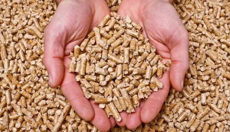 Immagine di Agricola Castiadas di Maccioni A. & C. snc a Castiadas, Sardegna