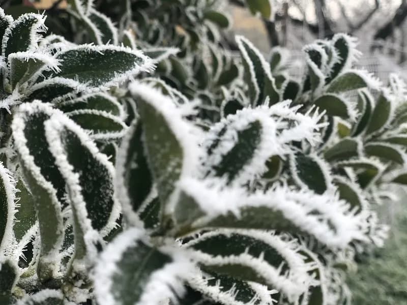 Immagine di Azienda Agricola Orlandini Di Betti Daniele E Alessandro a Sesto Imolese, Emilia-Romagna