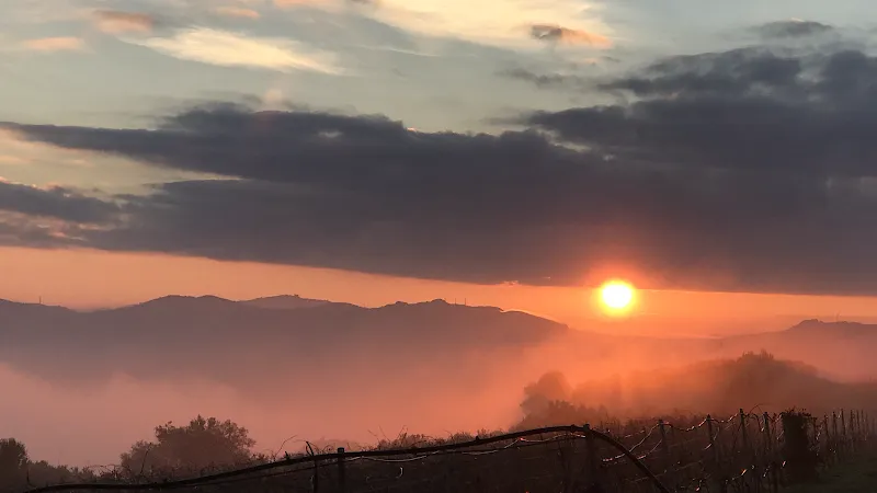 Immagine di Azienda Agricola Castello D’Angio a Ramacca, Sicilia