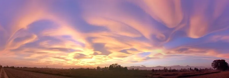 Immagine di Azienda Agricola Una Garlanda di Stocchi fratelli e C. a Rovasenda, Piemonte