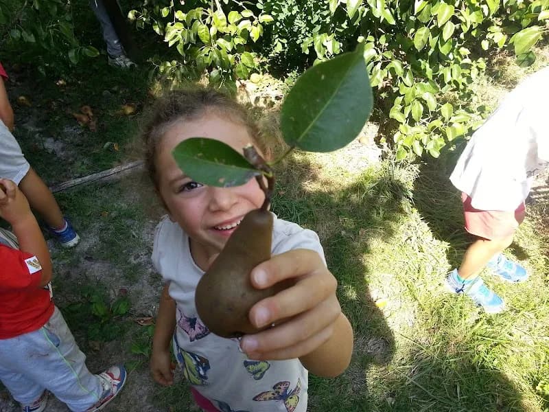 Immagine di BioFattoria Rio Selva a Preganziol, Veneto