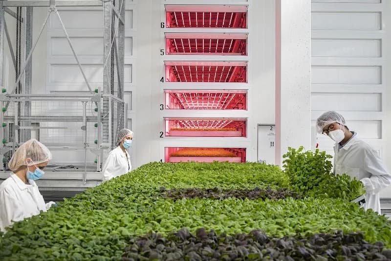 Immagine di Agricola Moderna a Milano, Lombardia