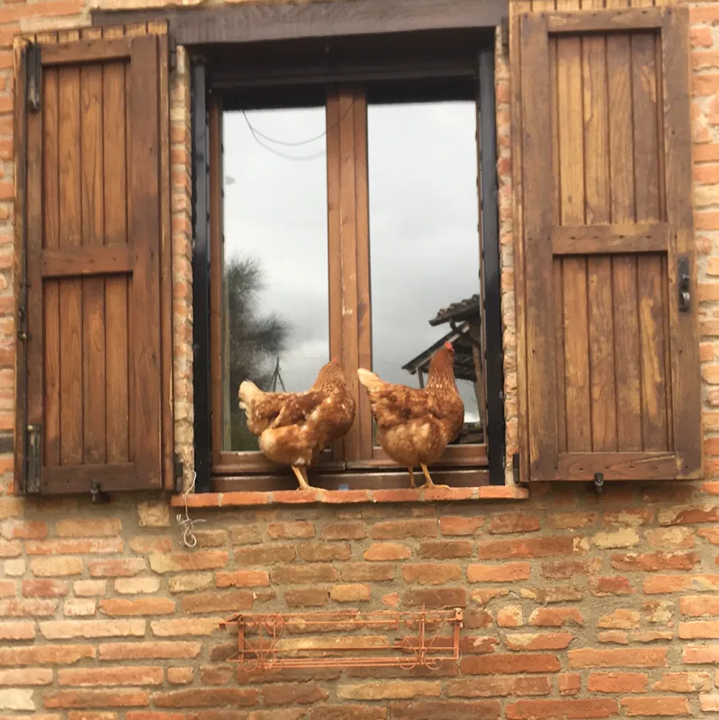 La Casina Bassa agriturismo biologico