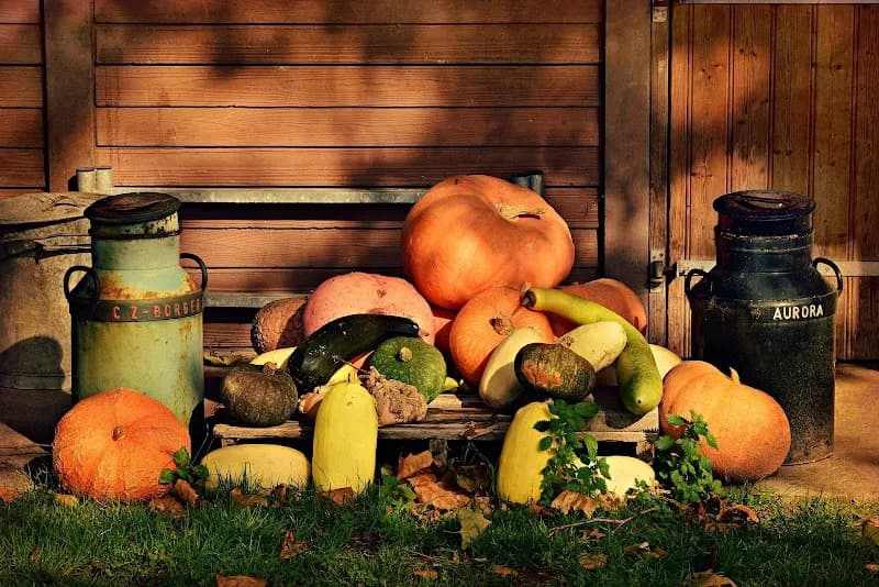 Immagine di Azienda Agricola Grilli Malvina a Jesi, Marche