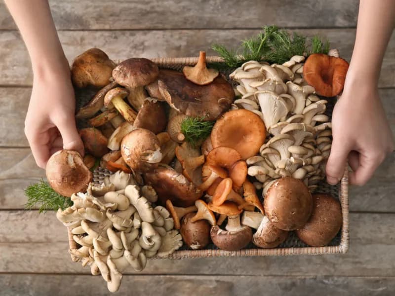 Immagine di Ortofrutticola Aretina a Bologna, Emilia-Romagna