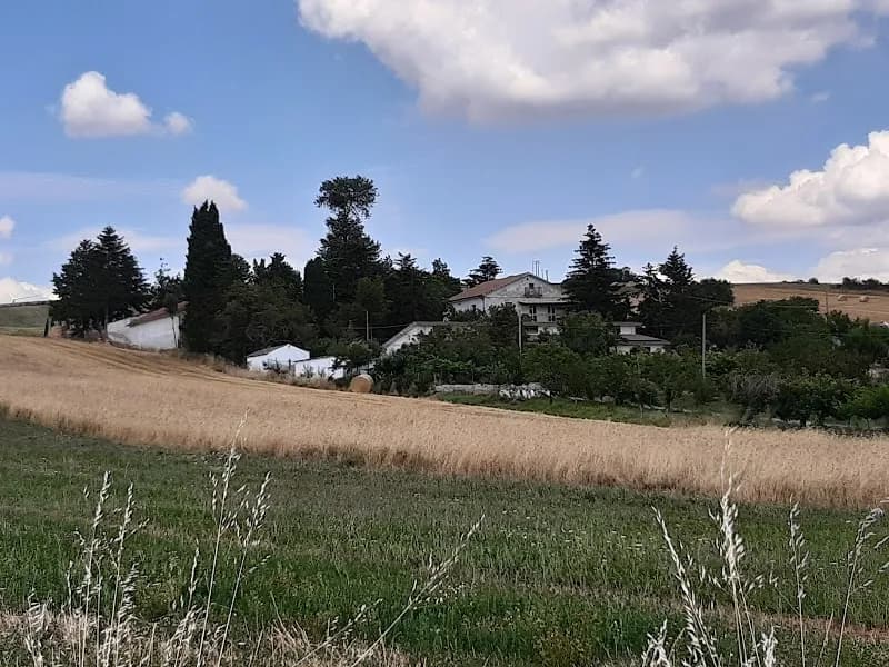 Immagine di Azienda Agricola Savignano a Nusco, Campania