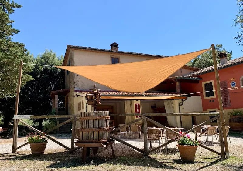 Immagine di Agriturismo Fattoria La Prugnola - Agriturismo in Toscana a Montescudaio, Toscana