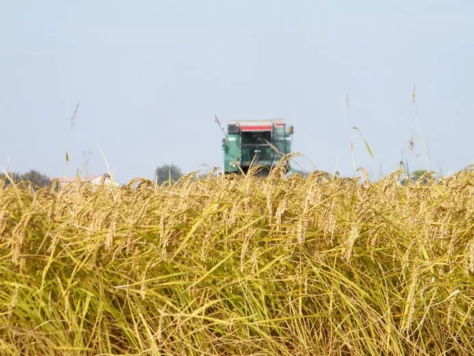 Immagine di Azienda Agricola Cerutti a Corlo, Emilia-Romagna