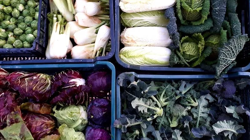 Immagine di Azienda Agricola Montedago a Ancona, Marche