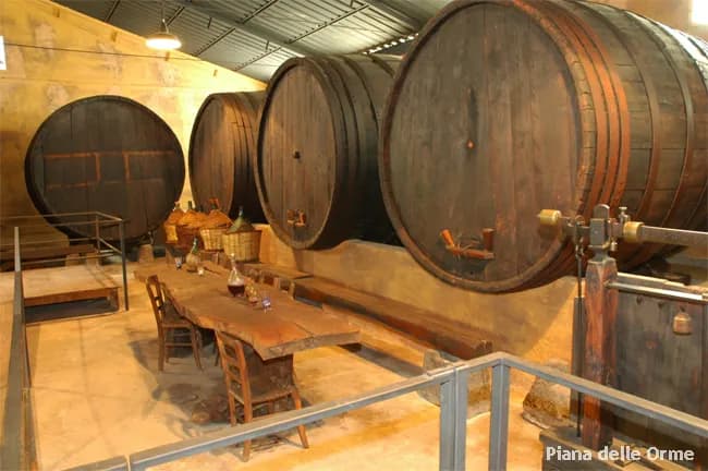 Immagine di AZIENDA AGRICOLA FLORICOLA 44 - produttore, vendita fiori e ortaggi, aste per grossisti, Latina a Latina, Lazio