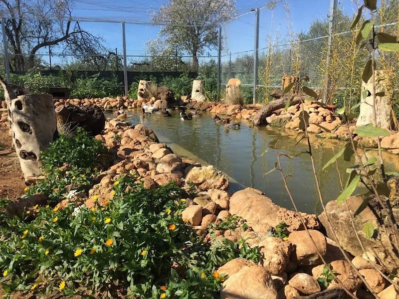Immagine di Fattoria Bassa Corte a Ribera, Sicilia