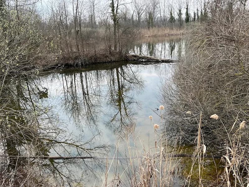 Immagine di Donna Gnora Società Agricola a Noale, Veneto