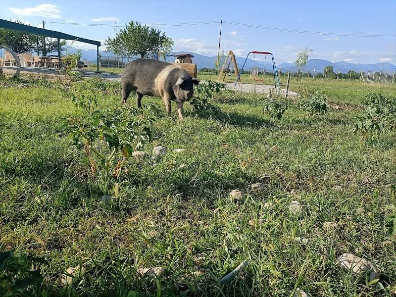 Immagine di LA FRASCA ssa a Spilimbergo, Friuli-Venezia Giulia