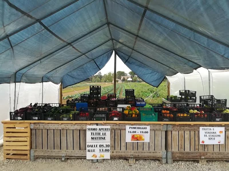 Immagine di Vendita diretta Azienda Agricola Bosi a Faenza, Emilia-Romagna