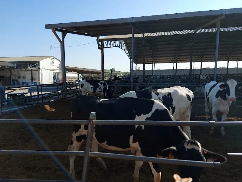 Immagine di Azienda Agricola Zootecnica Posticchia Sabelli a Lavello, Basilicata