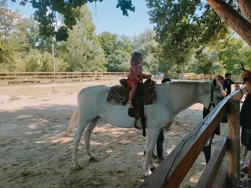 Immagine di La Fattoria di Daniele a San Benedetto Ullano, Calabria